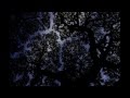 Sycamore Trees -- Jimmy Scott 