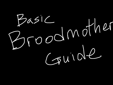 Basic broodmother guide