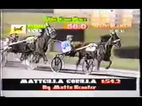 1995 Yonkers Raceway- Cane Pace Final ($384,375 ) David Ingraham