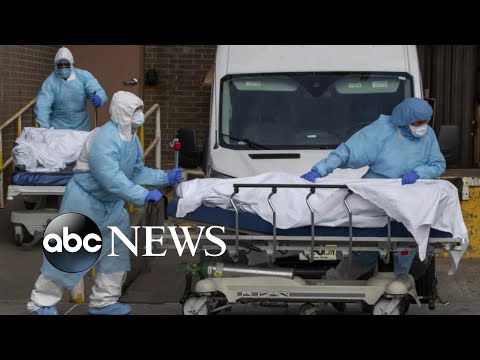 ニューヨーク州の死者数は一晩で約3,000人に達した。 (New York state death toll hits nearly 3,000 overnight | WNT)