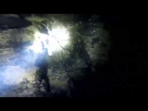 WZT Tiefenbrunnen Tauchgänge (29.5./ 3.6./ 11.6.2015)