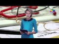Здравствуйте, Доктор! 12 ноября 14+ 
