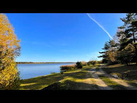 Jura rowerem 4K 2025.10.31 Myszków - Żarki - Olsztyn - Zalew Porajski