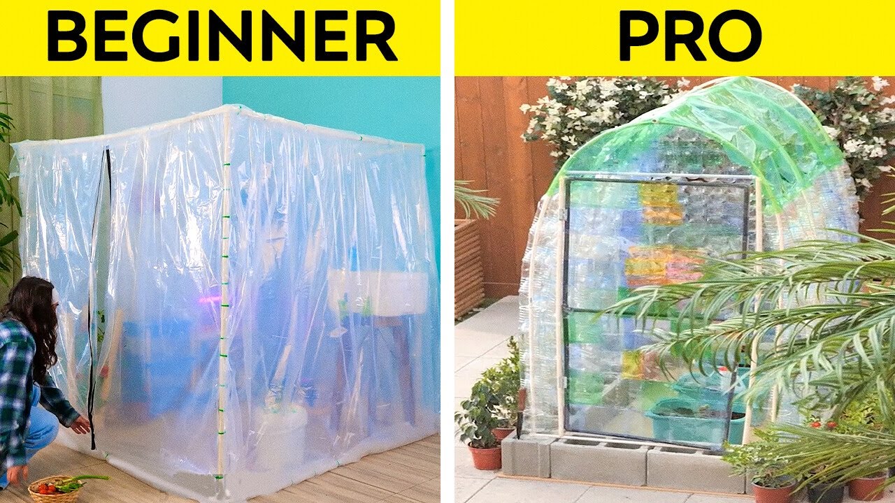 Create Your DREAM Outdoor Oasis Now! 🌴 DIY Greenhouse and Gazebo