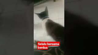 Download lagu Kompak selalu iya abg ade😎 mp3