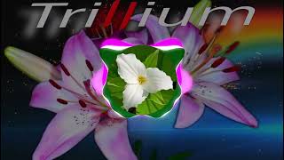 Cover art for Trillium (slowed)