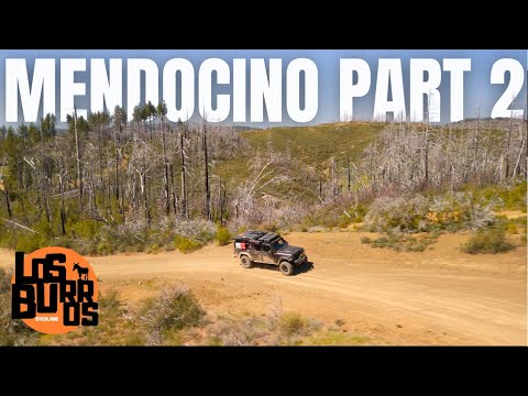 BEST campsite in Mendocino?