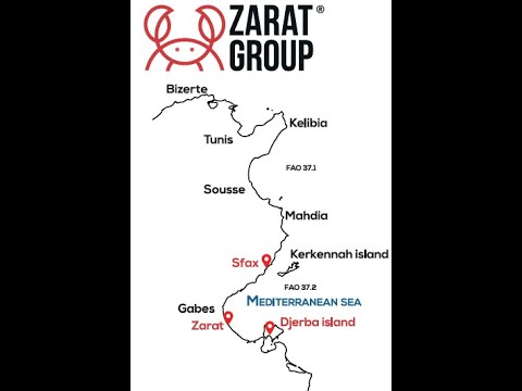 Blue Swimming Crab, ZARAT GROUP, TUNISIA