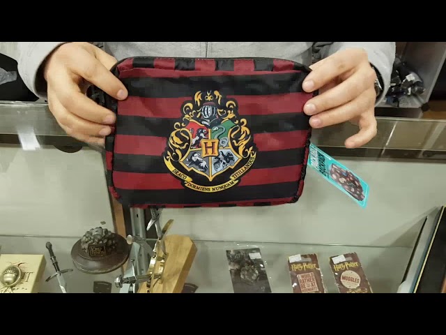 Vídeo relacionado con HARRY POTTER - Mochila Escolar, con Diseño 3D, Adaptable a Carro, Ideal para Niños de Diferentes Edades, Cómoda y Versátil, Calidad y Resistencia, 27x10x33 cm, Color Azul/Multicolor