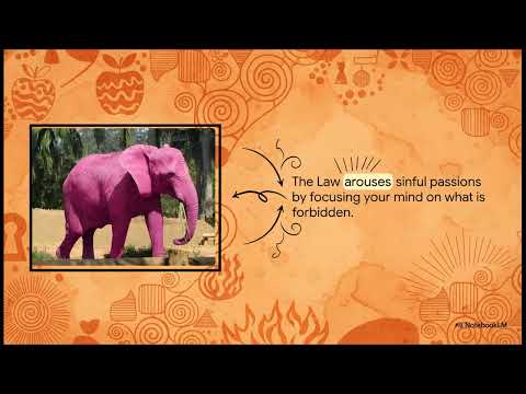 Why the Law Feeds the Flesh