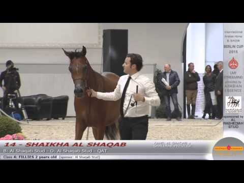 Berlin Cup Werder 2015 - Fillies 2 years old (Class 4) - N.14 SHAIKHA AL SHAQAB