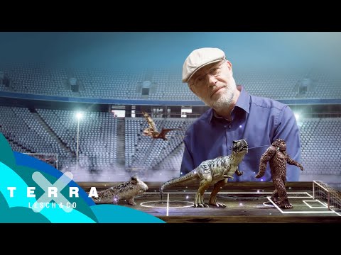 Die Geschichte des Lebens auf 105 Metern | Harald Lesch