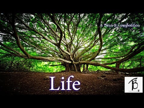 Life (Inspirational Music, Background Music, a Twan B Composition)