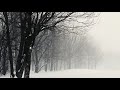 Winter Wind Sound Effects Snow Storm Background Video Copyright Free Nature Sounds