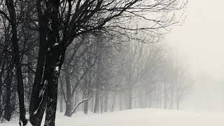 Download lagu Winter Wind Sound Effects | Snow Storm Background Video | Copyright Free Nature Sounds mp3 Download lagu Winter Wind Sound Effects | Snow Storm Background Video | Copyright Free Nature Sounds mp3