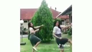 Download lagu Makan daging anjing dengan sayur kol pubg(2) mp3