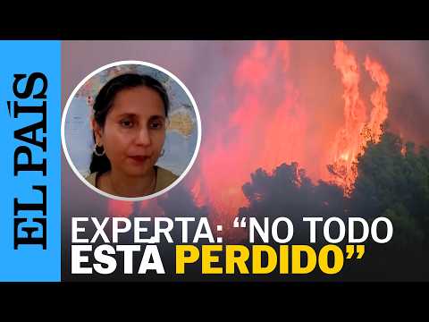 EXPERTA FORESTAL sobre el AUMENTO de las TEMPERATURAS en EUROPA: «NOoTODO está PERDIDO» | EL PAÍS