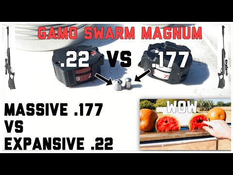 .177 Cal VS .22 Cal Gamo Swarm Magnum Challenge | BIGGEST .177 VS MOST EXPANSIVE .22 Comparison