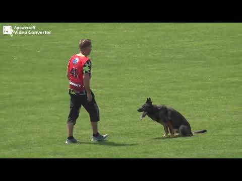 Karo z udoli Upy - MMCKNO 2021 IGP 3 - B