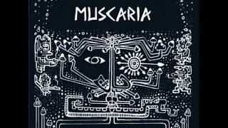 Muscaria - False Awakening (Original Mix)