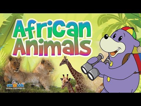 Zaky Discovers African Animals