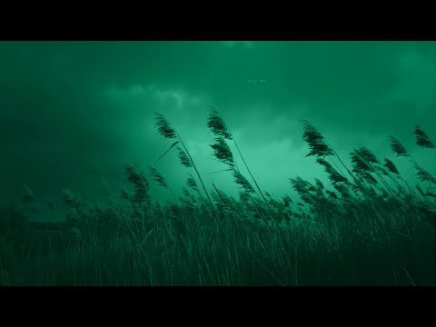 ＩＴ'Ｓ　ＯＫＡＹ　ＴＯ　ＮＯＴ　ＢＥＬＯＮＧ　ＨＥＲＥ .