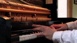 Celebrating The Artistry of Shaggy