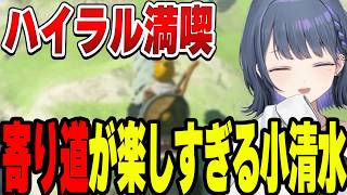 寄り道が楽しすぎて全然進まない小清水透【小清水 透/にじさんじ/切り抜き】