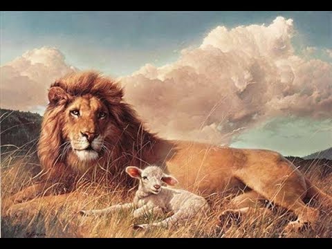 Ford Mustang "Limited 235 Turbo" by Tin Soldier Race Cars