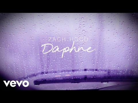 Zach Hood - daphne (Lyric Video)