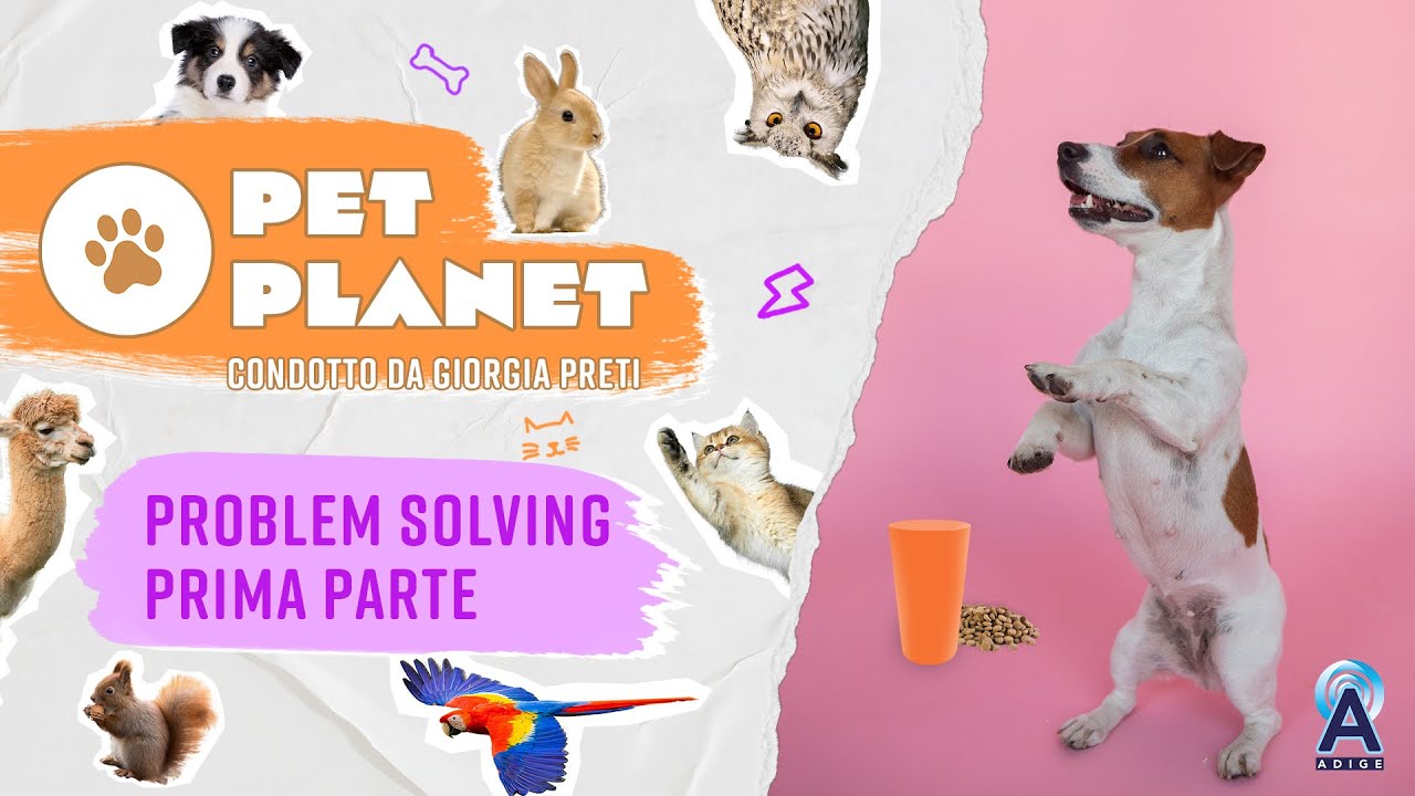 Descrizione dell'immagine