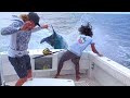 300 POUND Marlin Almost KILLS Fishermen INSANE