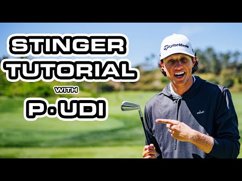 Grant Horvat Teaches How To Hit A Stinger With P•UDI | TaylorMade Golf