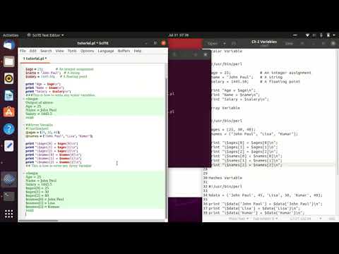 Ch 2 Scalar, Array Hashes Data Types in Perl Programming