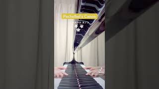 Download lagu Pachelbel's Canon 🎏 パッヘルベル カノン mp3 Download lagu Pachelbel's Canon 🎏 パッヘルベル カノン mp3