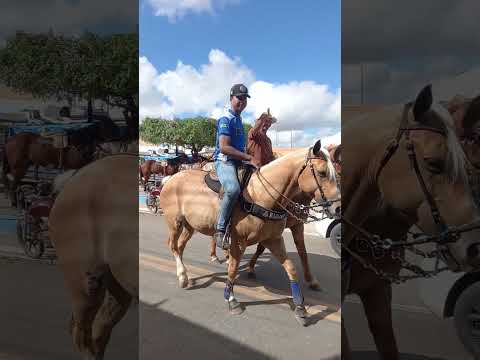 Vaquejada de Cavalos