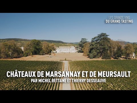 image-Who owns Chateau de Meursault?