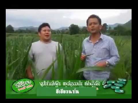 สิ่งที่ฉันควรทำอย่างไรถ้าฉันมีความอ่อนแอ ผู้ชายของฉันขนาดเล็กขนาดใหญ่กระเจี๊ยวใหญ่
