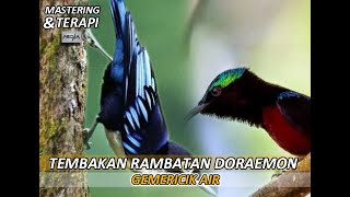 Download lagu TEMBAKAN RAMBATAN DORAEMON JERNIH RAPAT PANJANG DAN GEMERICIK AIR !!! mp3 Download lagu TEMBAKAN RAMBATAN DORAEMON JERNIH RAPAT PANJANG DAN GEMERICIK AIR !!! mp3