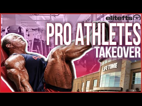 John Meadows and Dave Tate DOMINATE *PUBLIC* Gym
