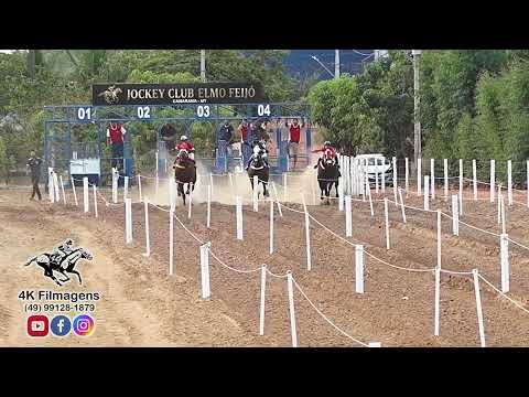 JOCKEY CLUB ELMO FEIJO - FINAL 1º GP QM DE VELOCIDADE - 301m - CANARANA / MT - 12.07.26