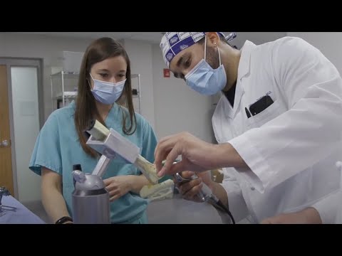 Dr. Sara May, Allergy and Immunology