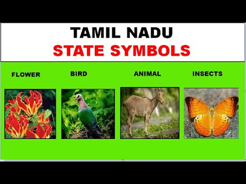 Which is the state bird of Tamil Nadu?