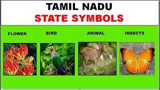 National Tree Bird Animal Flower Watch HD Mp4 Videos Download Free