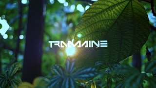 ahhh that's where it comes from（00:03:43 - 00:06:59） - Marco Sfogli Tone - The Forest - Performed by Tramaine #liveplayrock