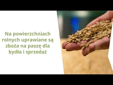 Stadnina Koni "Iwno" Sp. z o.o. - video