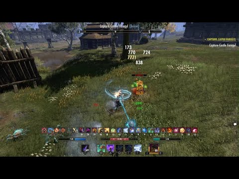 Eso warden pvp