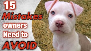 15 mistakes new pit bull owners make!