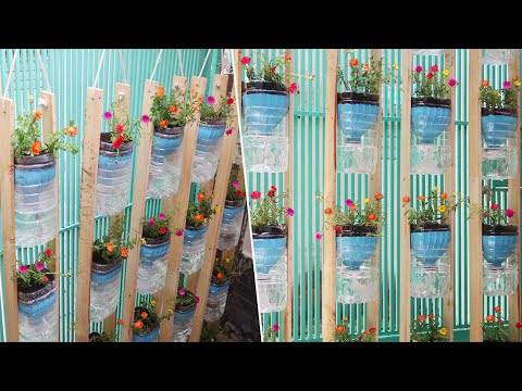 How to grow cucumbers to produce a lot of fruit in soil Bags at home