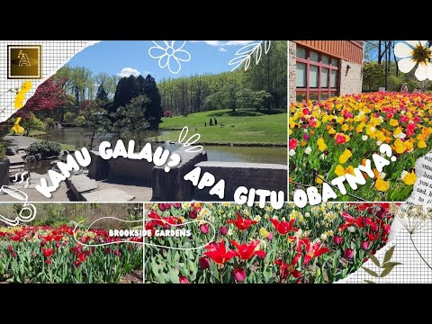 Tempat ngilangin stress :)